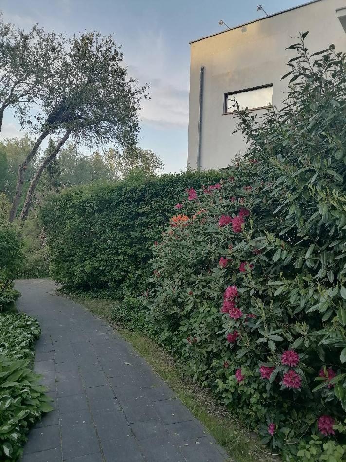 Horyzont Apartamenty- 50m Od Morza!!!apartamenty Prywatne W Family Dominikana- Self Check In * Sianozety